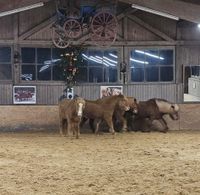 Spielen in der Halle 2